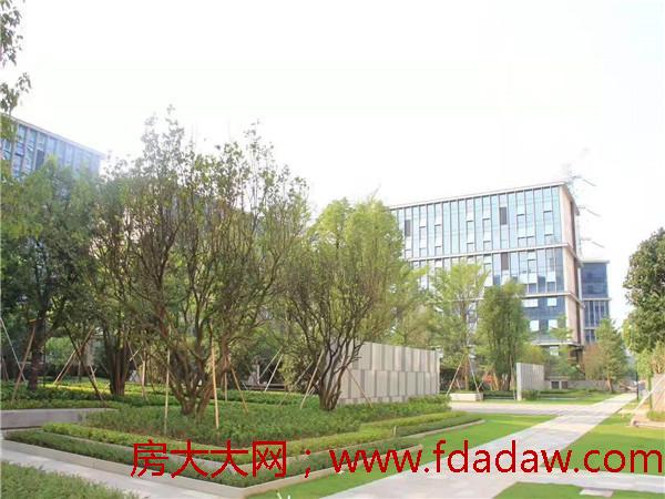 微信图片_20190818144052.jpg