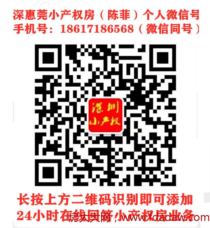 陈菲.jpg