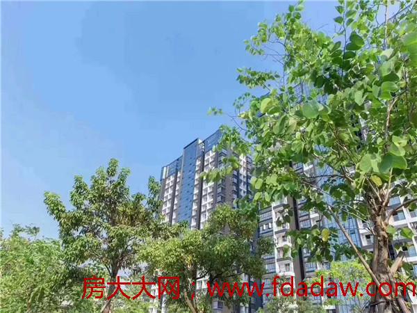 微信图片_20200328094139.jpg